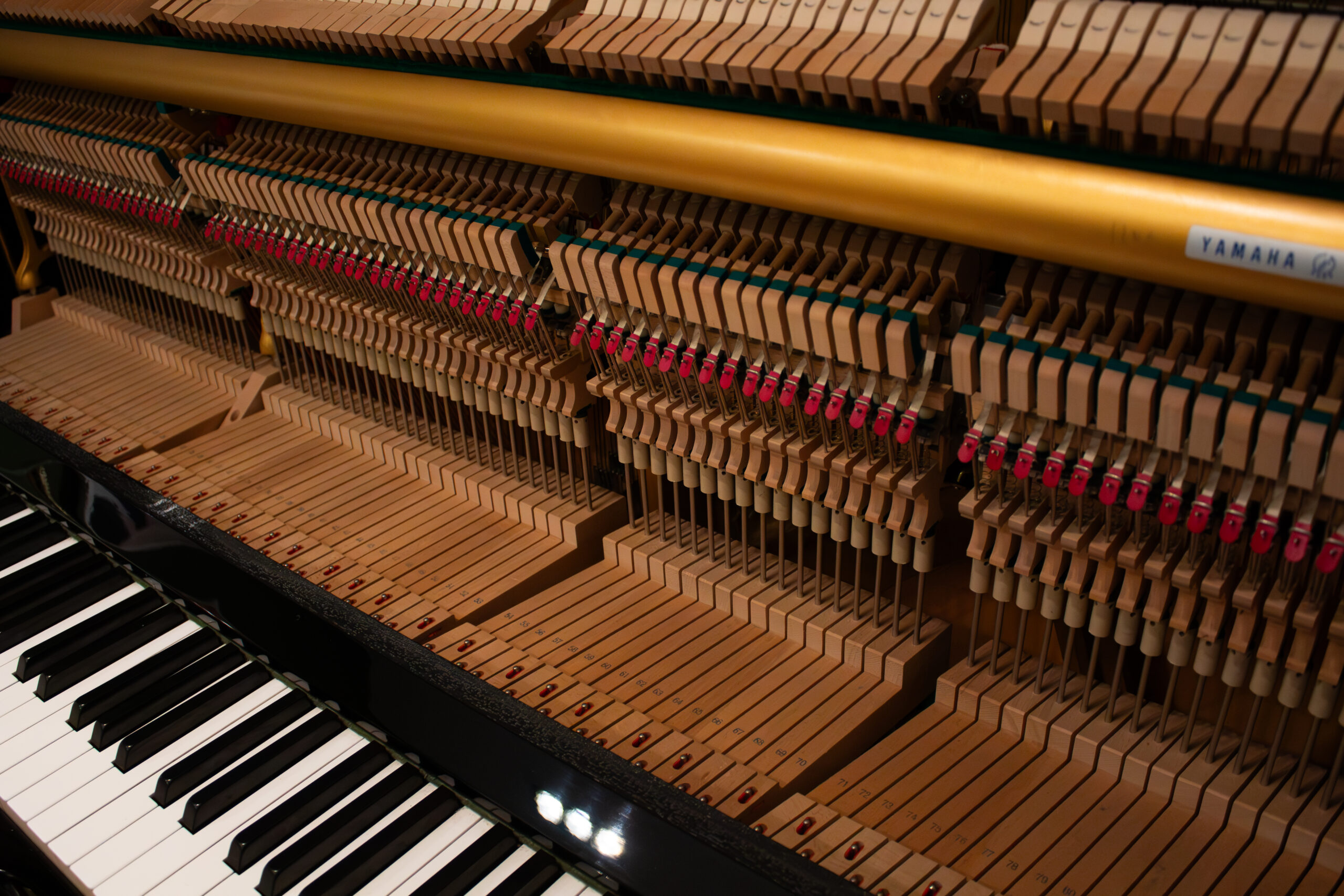 _MG_2885-Avec accentuation-NR