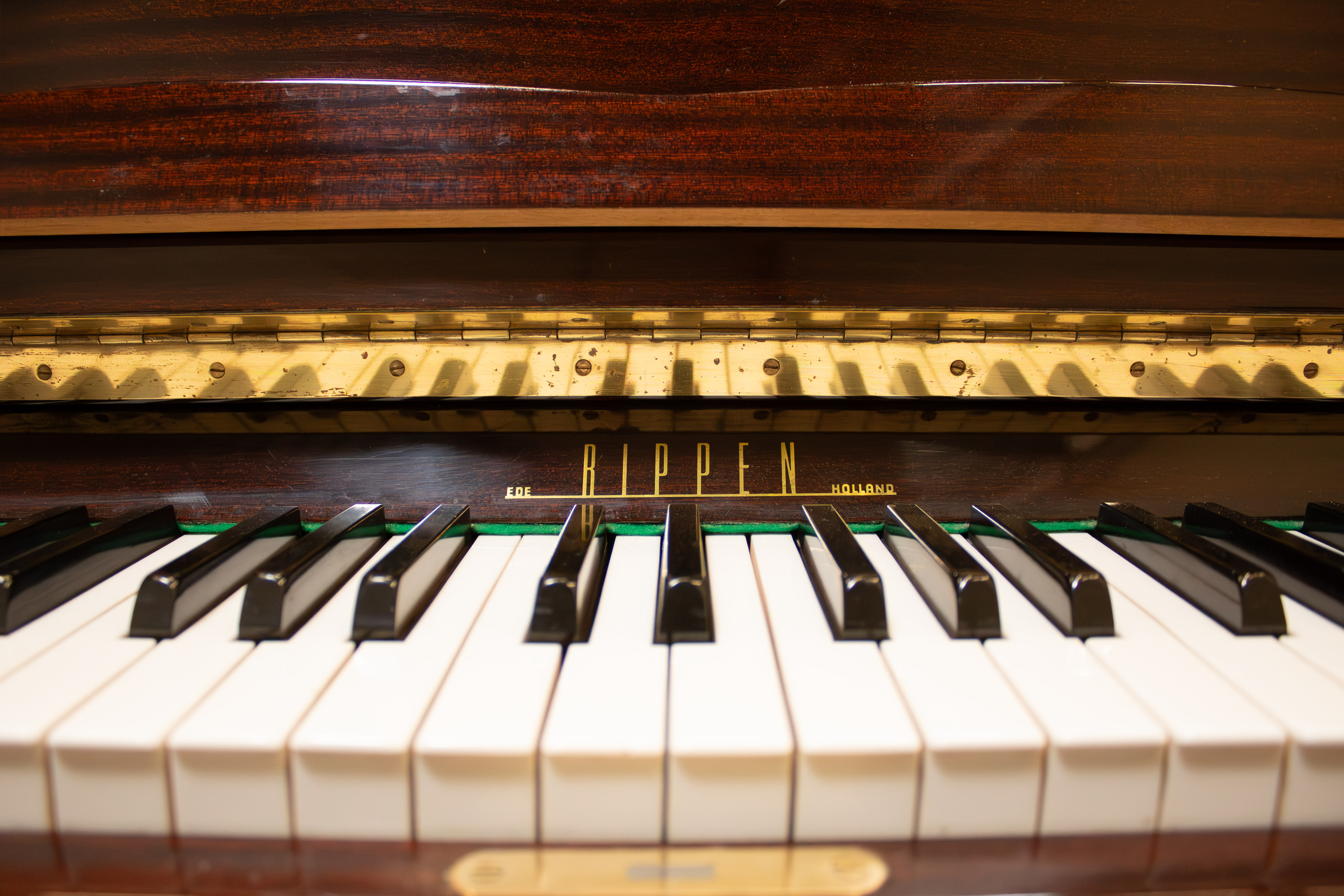 calivier-Rippen-logo.DP