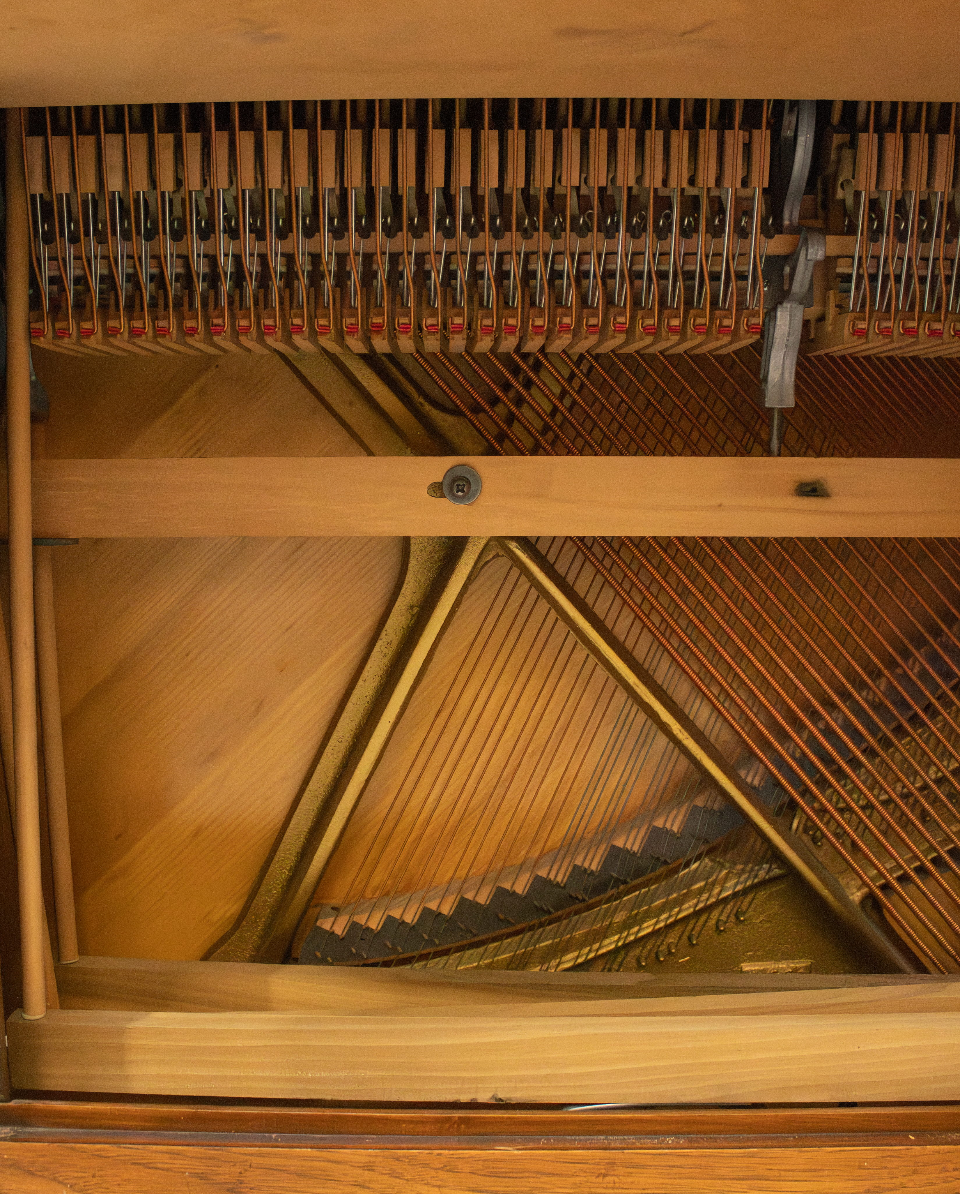 détails-intérieur.DP